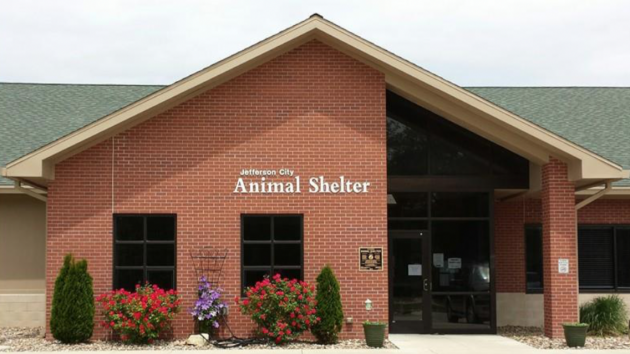 jefferson county animal shelter