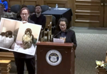 At Jersey City Council meeting, activists target Fulop over bird glass ordinance veto