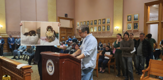Op-Ed: Bird-safe development in Jersey City will not negatively impact construction