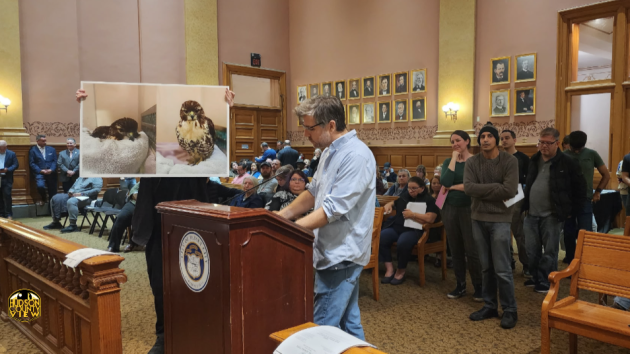 Op-Ed: Bird-safe development in Jersey City will not negatively impact construction