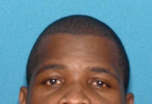 Police: Man arrested for recent cane corso attacks in Secaucus and Hoboken