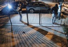 ‘What the f***’!’: AG’s Office releases vids of Jersey City cop killing gunman in Oct.